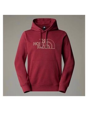 The North Face Drew Peak light hoodie
